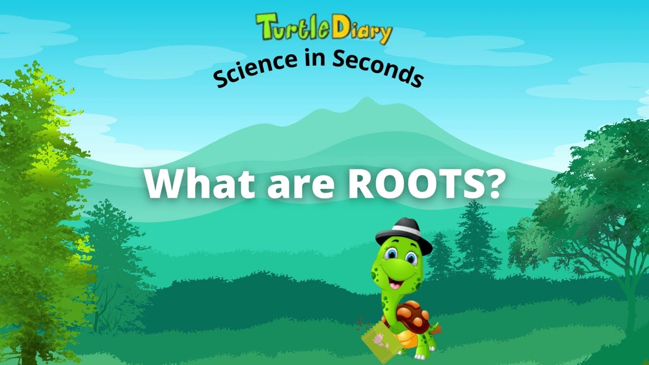 What Are Roots? Plant Science *Science in Seconds* TurtleDiary.com