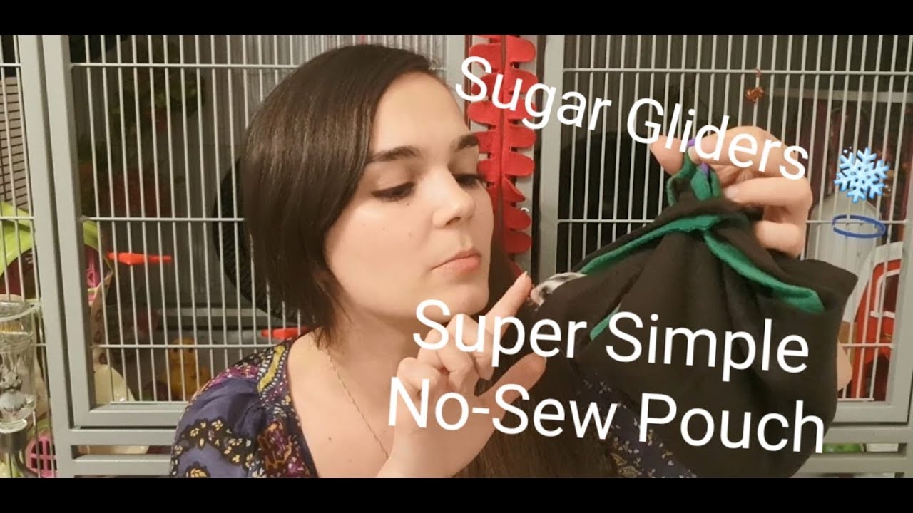 Super Simple No Sew Pouch For Your Sugar Gliders