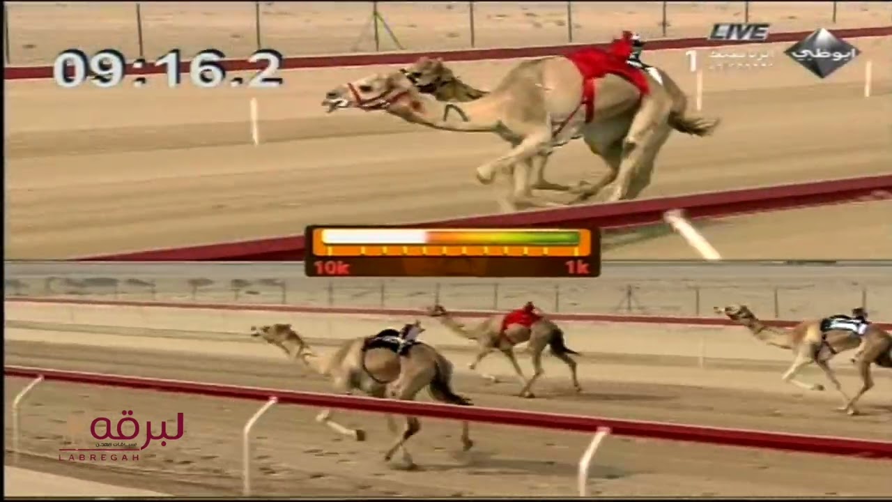 نجوى لـ هجن العاصفة (ختامي الوثبة 19-3-2011) سيف الحيل محليات 15:59:7
