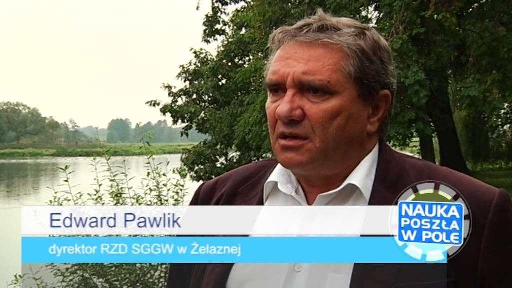 Nauka poszła w pole:  Na czym polega uprawa ziemniaków? (część 1/2)