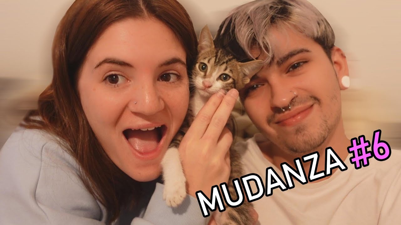 ADOPTAMOS UN GATITO | vlog #6