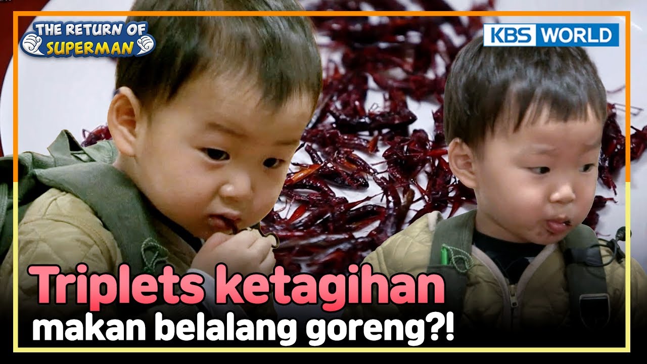 [IND/ENG] Tadinya takut, Minguk jadi doyan belalang goreng?! | Nostalgia Superman | KBS 141213