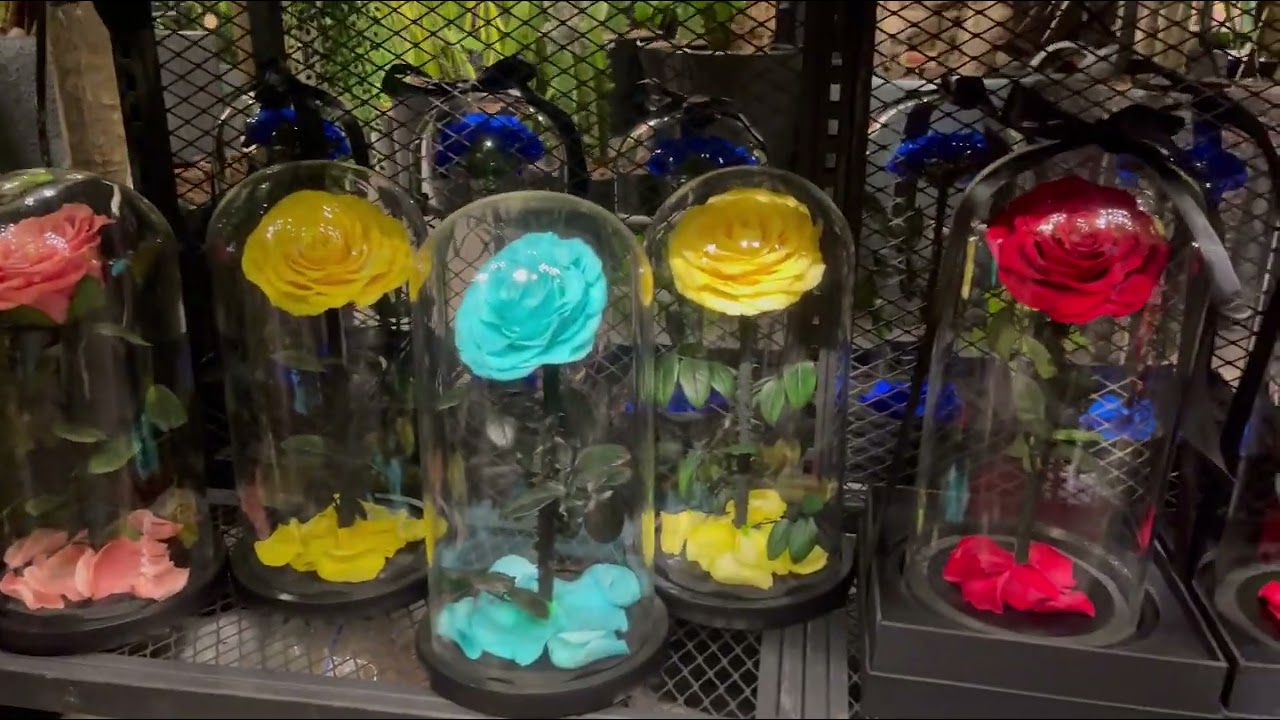 Amazing Decorations at Nakheel Mall / Dantel Flowers/ Daiso Japan / Rotai