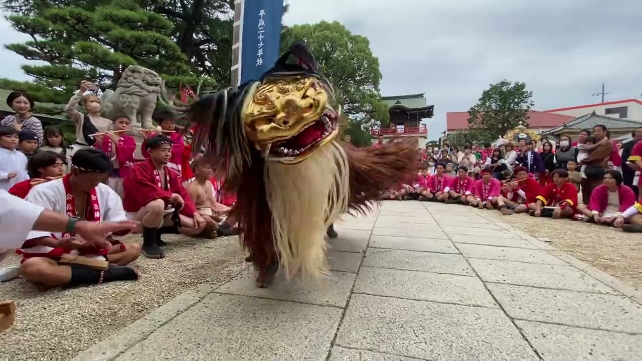 令和5年度 播州秋祭り 荒井神社 扇町 本宮【神社 獅子舞】