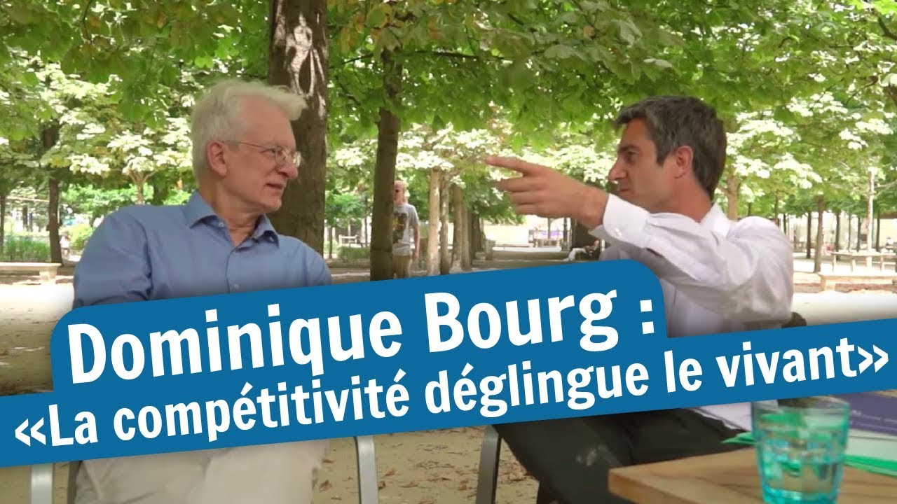 DOMINIQUE BOURG : 