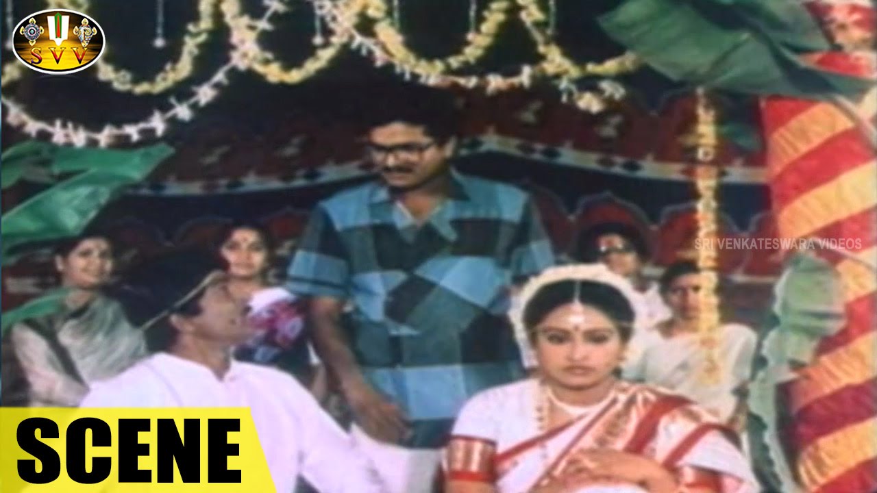 Rajendra Prasad Marries Ashwini Love Scene || Station Master Movie