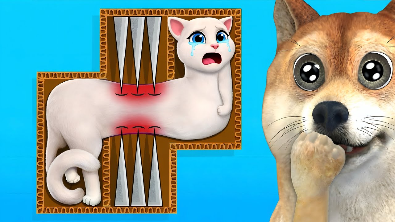 COLOCANDO GATOS EM SITUAÇÕES PERIGOSAS...