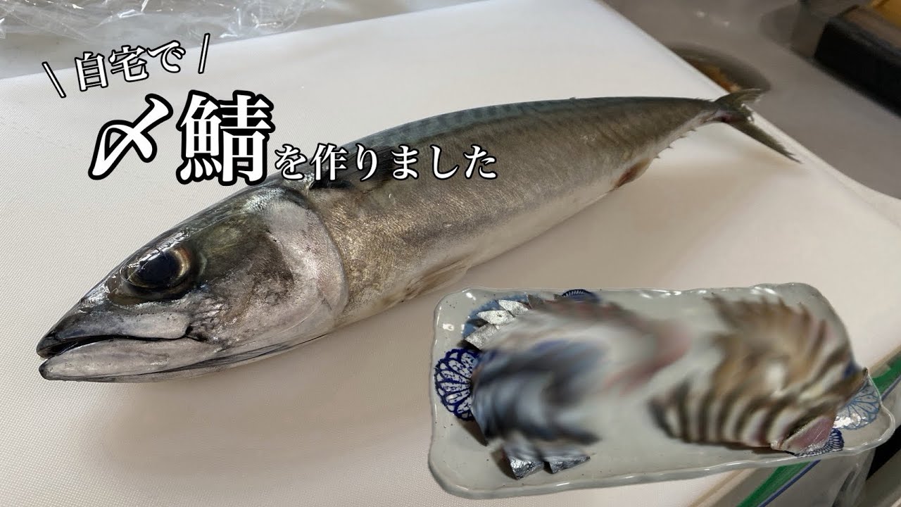 栄養たっぷり「〆鯖」を作りました🐟