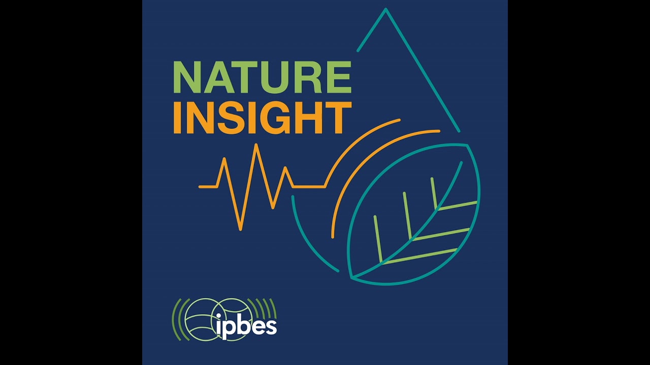 Fast Forward #ForNature: The IPBES Fellowship
