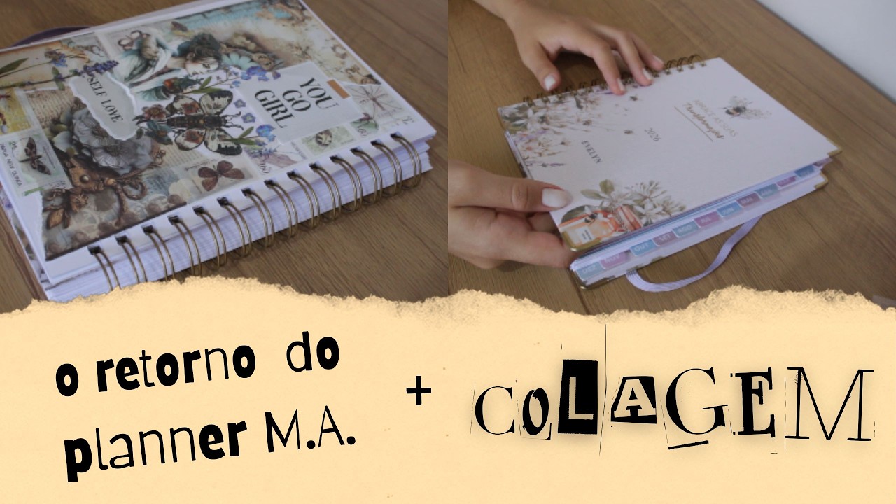 Tentando usar de novo meu planner Mellancia Azul ✍️💭
