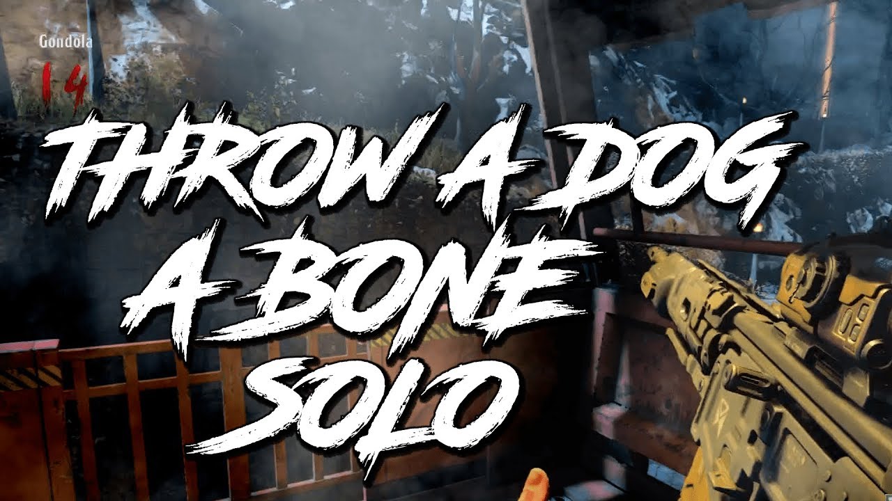 SOLO 
