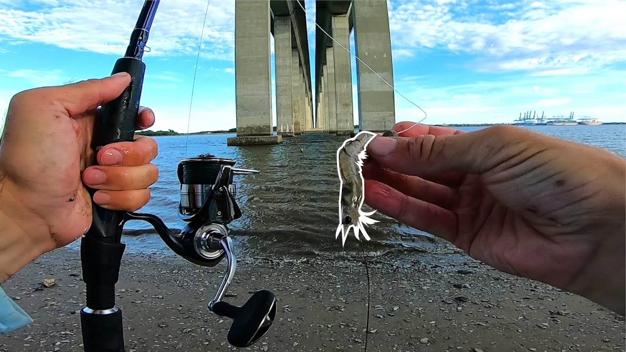 South Bound - Fishing the Charleston Low Country for What Ever Bites