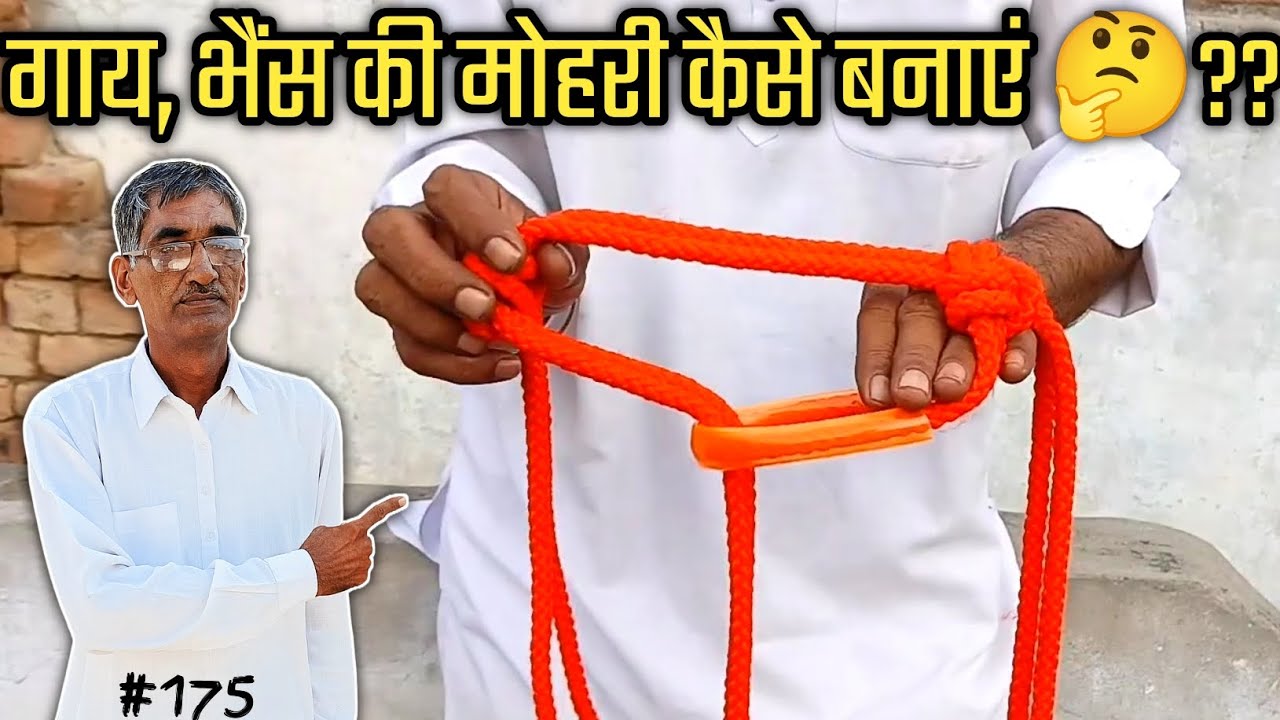 how to make a new generation rope halter #dhariwalvlog #hansi