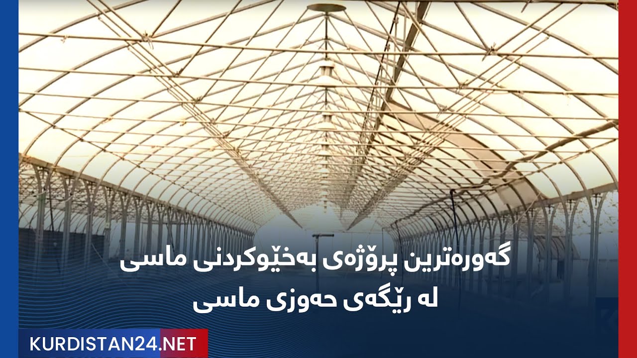 گەورەترین پرۆژەی بەخێوکردنی ماسی لە رێگەی حەوزی ماسی