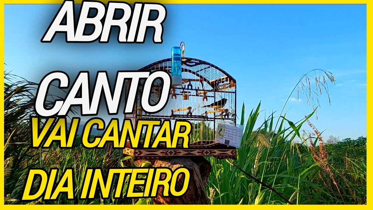 ABRIR CANTO DO papa capim FRIO GELADO RAPIDO E FÁCIL