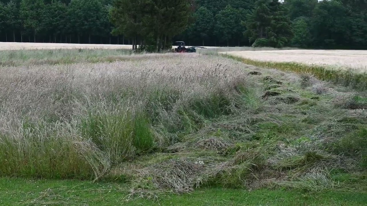 Gras Mähen Hanomag R35 Deutz Fahr KM24