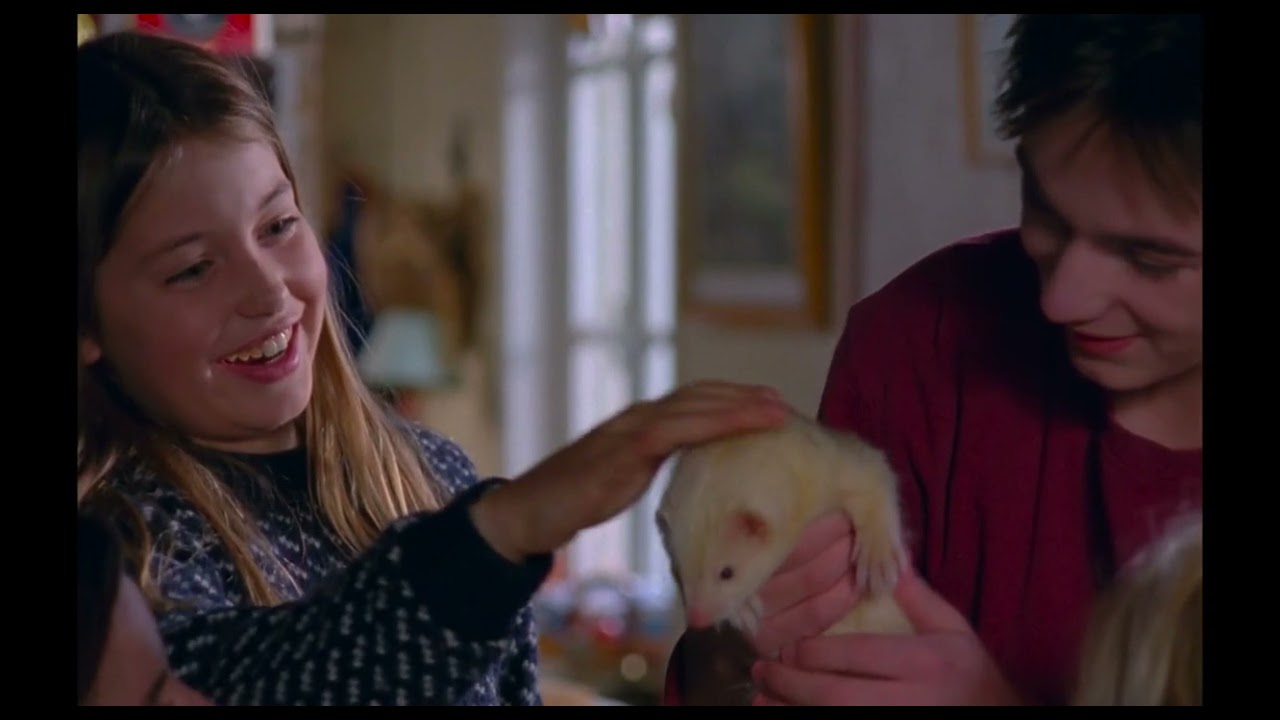Louloute - Bande annonce VF 🎬