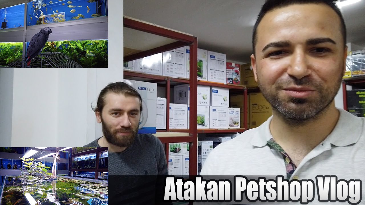 Atakan Petshop Vlog - Sürüngen Ürünleri, Akvaryumlar, Dekorlar, Exo Terra