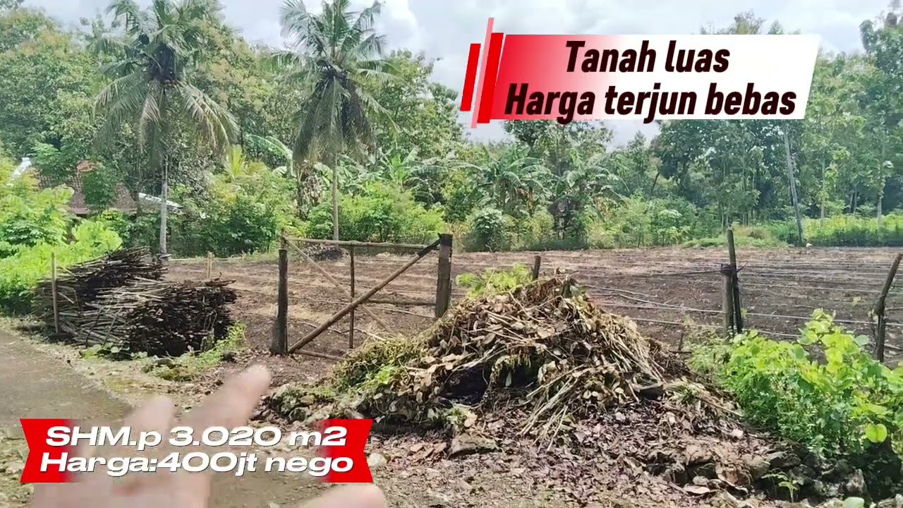 TURUN HARGA ✅ Tanah Luas bonus rumah permanen dekat kota Gunungkidul 