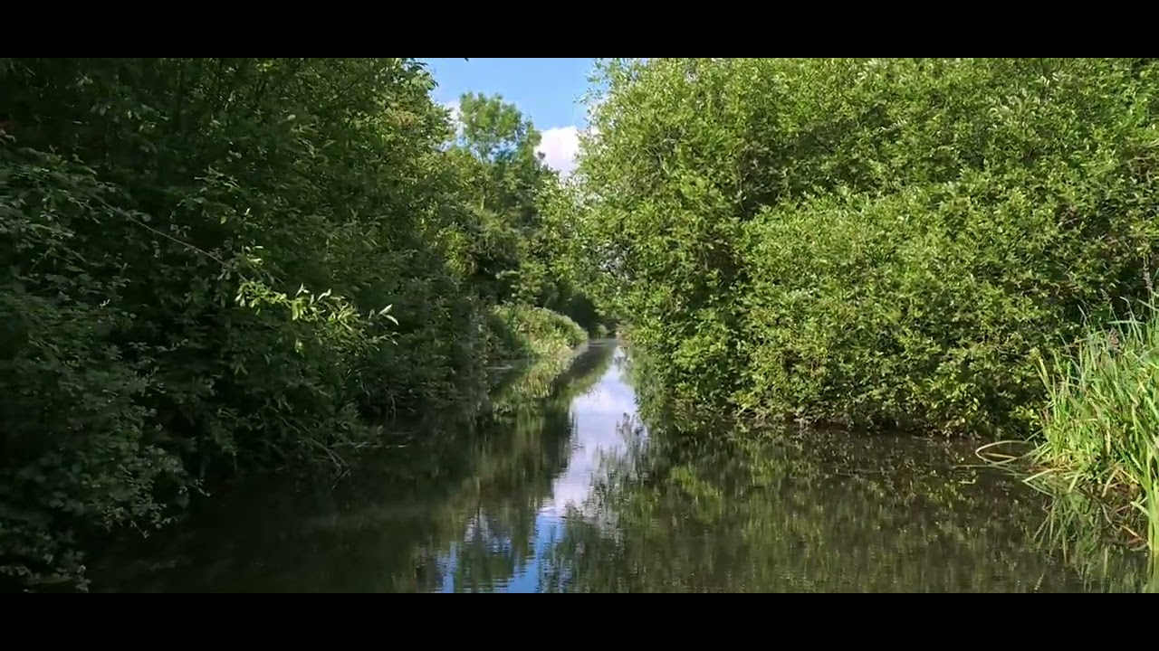 The Slough Arm.