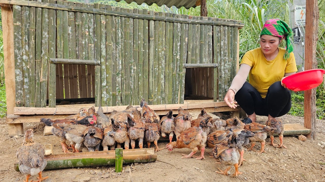 Single Mother - Harvesting fresh vegetables to sell at the country market