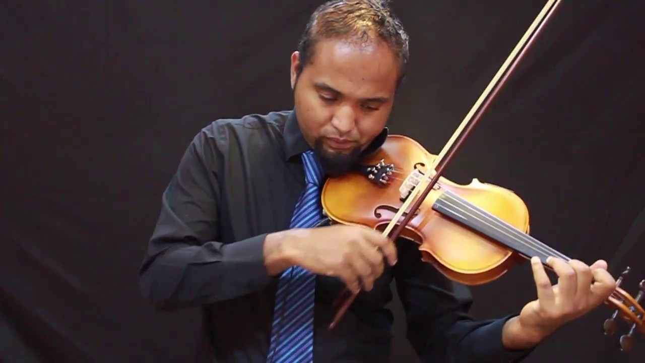 ammoon Full Size 4/4 Acoustic Electric Violin