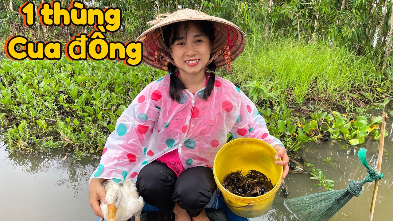 💚Trang dải dầu với cơn mưa trái mùa để hốt trọn bầy cua đồng càng kình #xuantrangmientay #vietnam 