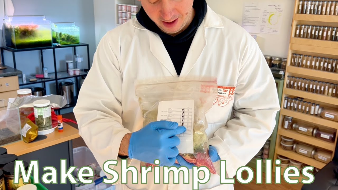 Behind the Scenes: How I Make R.E.D. Shrimp Lollies Step by Step
