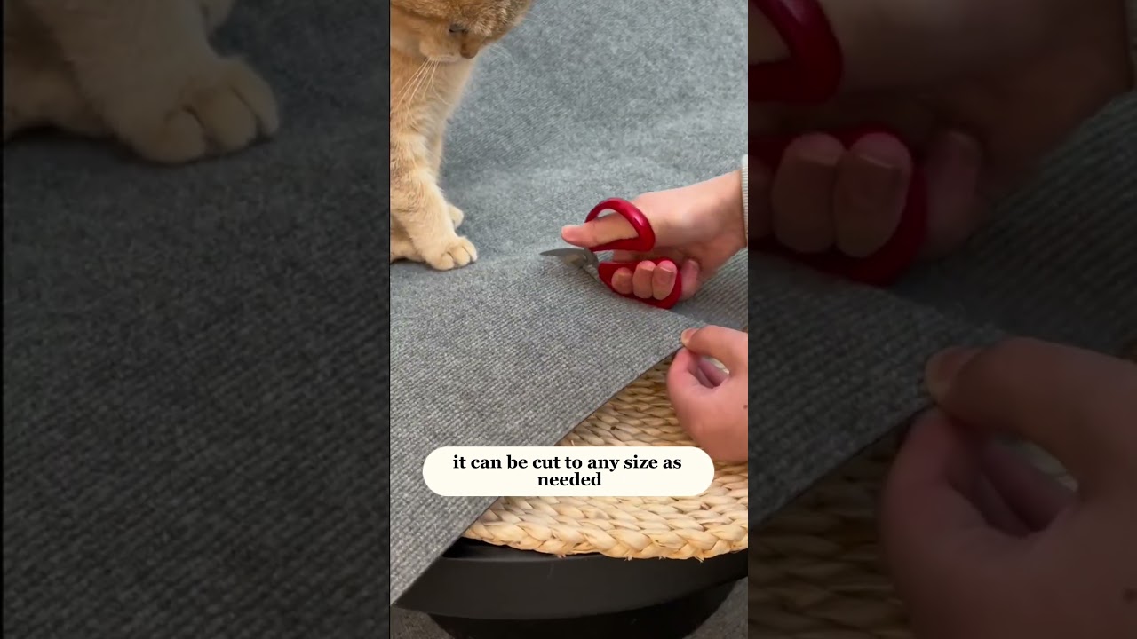 Trimmable Self-Adhesive Cat Scratch Board&ndash;Protect Your Furniture & Keep Claws Sharp#cat #pets #cute