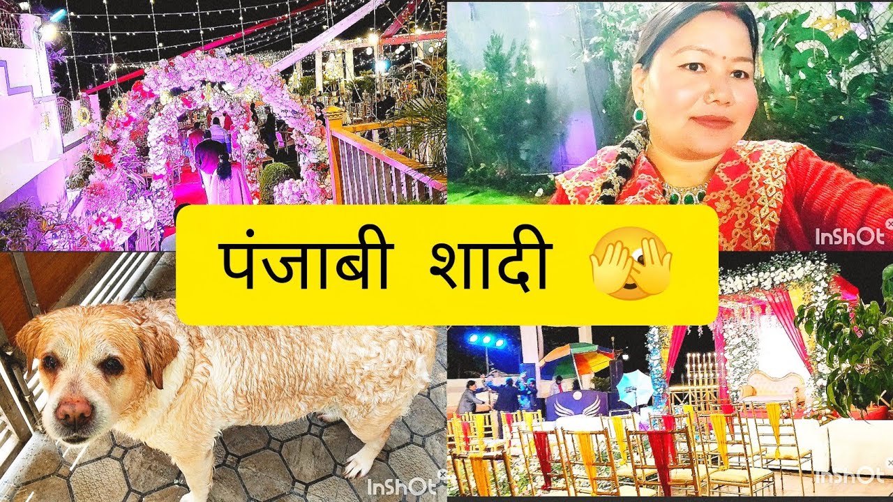  पंजाबी शादी ऐसी होती है 🫣
