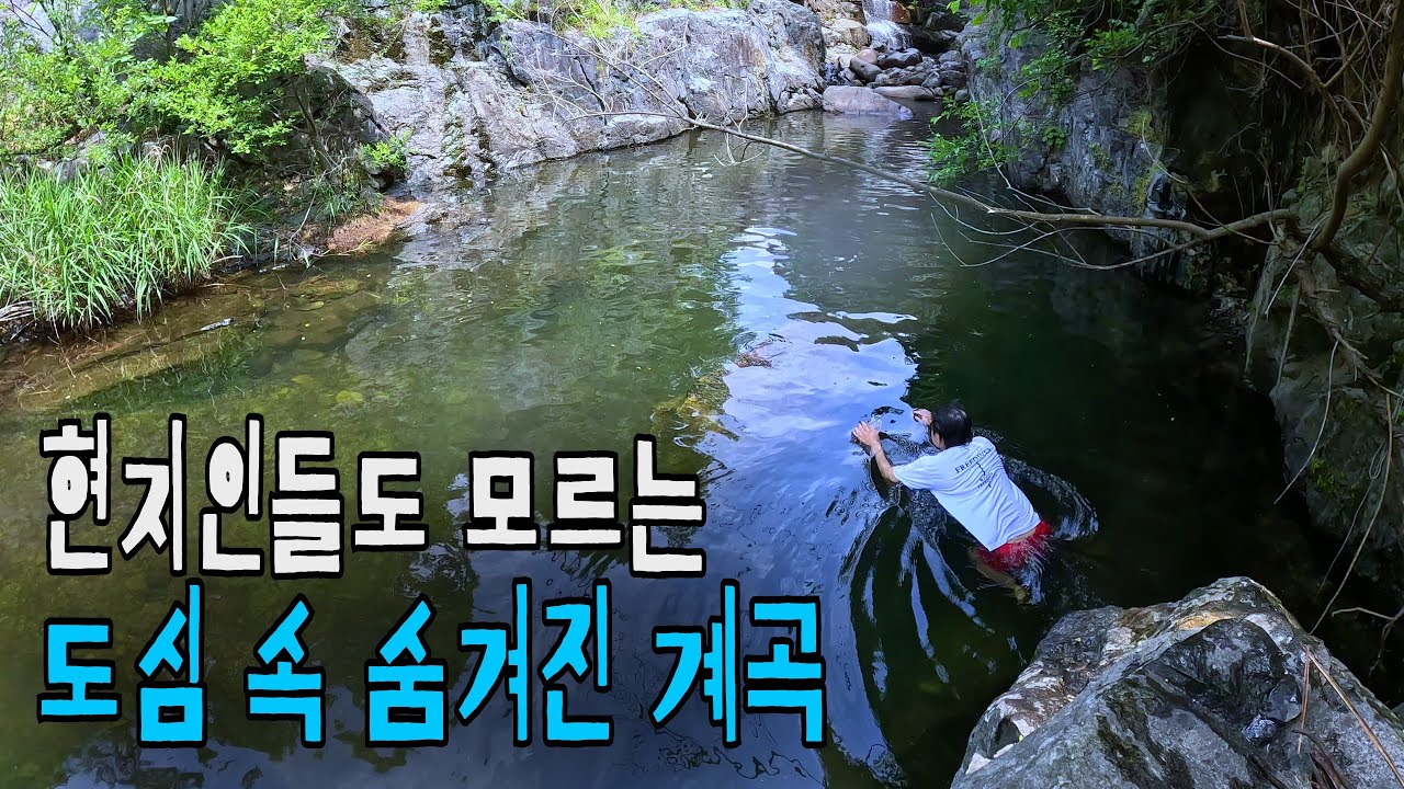 [수심2m] 대도시에 이런 계곡이?? 대구에 숨겨진 히든 계곡