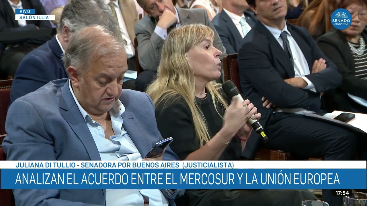 SENADORA JULIANA DI TULLIO 2 - COMISIÓN DE RELACIONES EXTERIORES 18-02-26