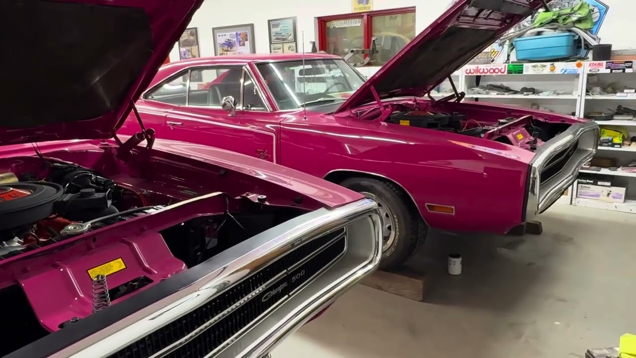 OMG!! FM3 Mopar Panther Pink Dodge Charger 500