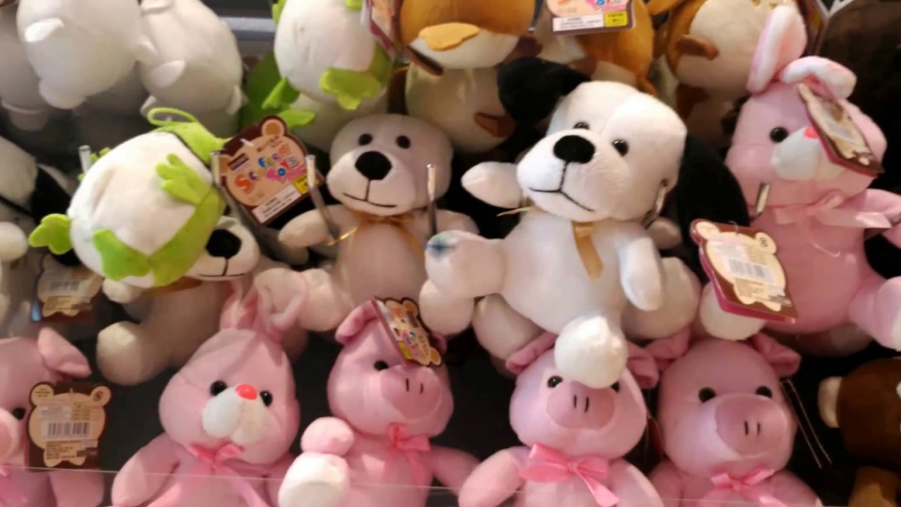 UP Town Center Daiso Branch is Now Open