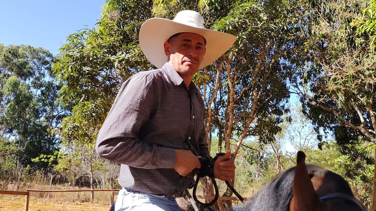 SEQUÊNCIA DE EXERCÍCIO DE RÉDEA CAVALO SHAZAM