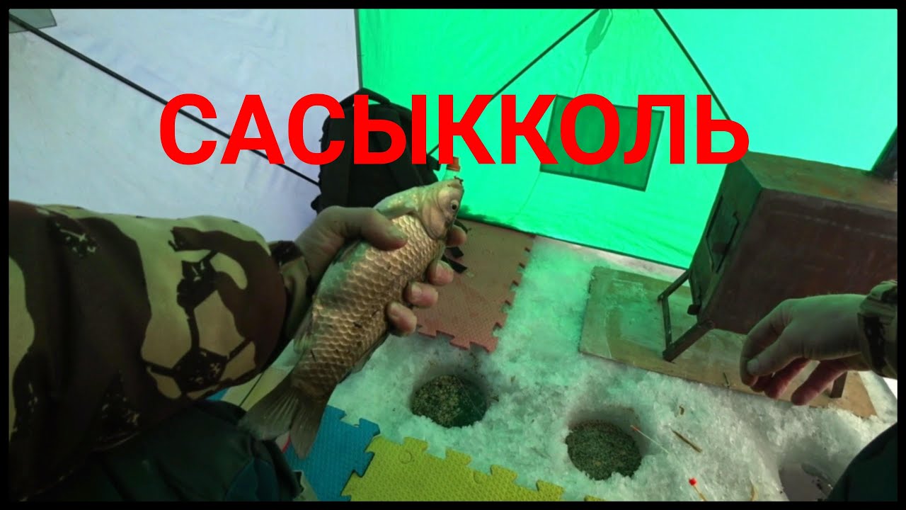 Рыбалка. Щедрый Сасыкколь.