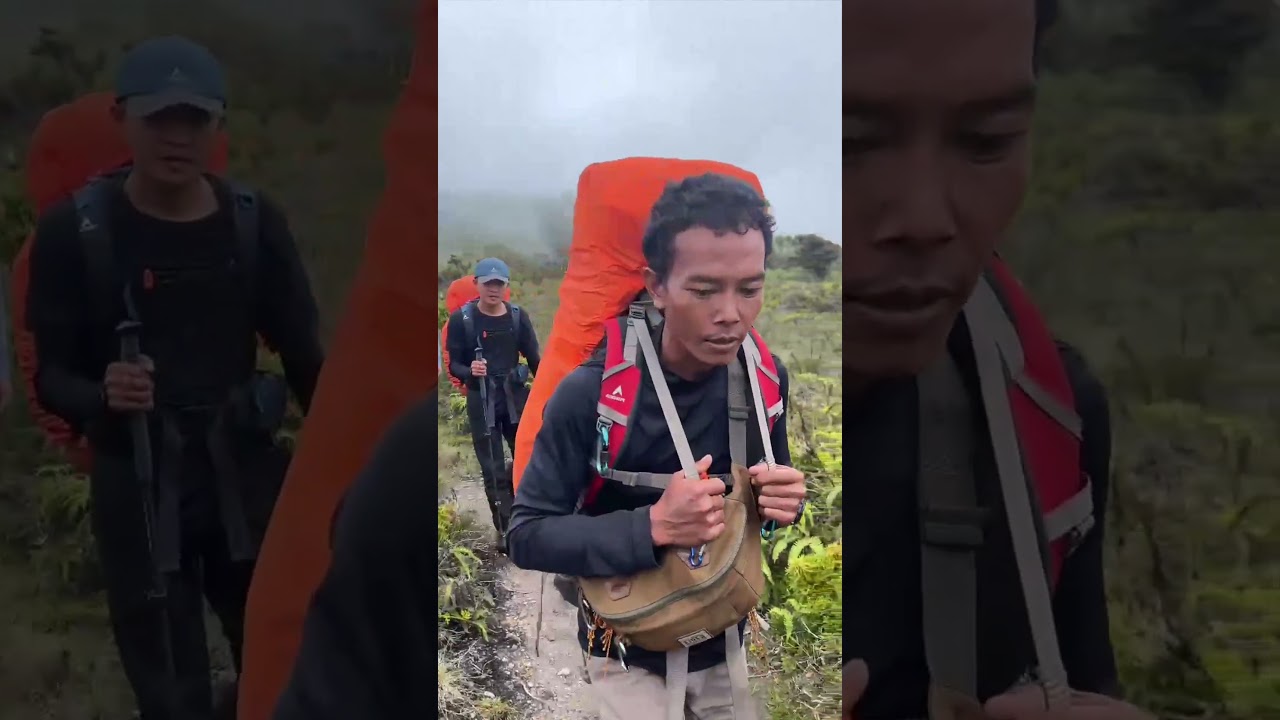 TALAMAU 4D3N VIA PINAGA.#talamau #gunung #mendakigunung #explore #hiking #hutantropis #pendaki