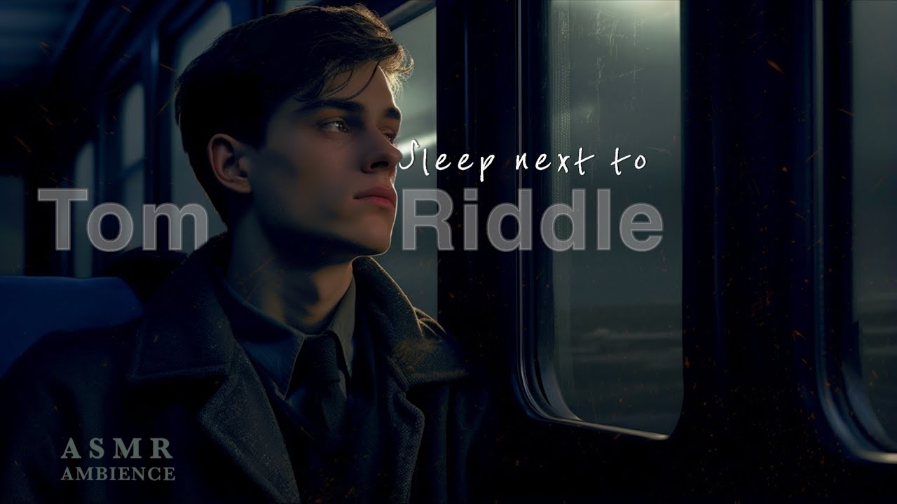 Harry Potter ambience | Sleep next to Tom Riddle | You ended up sitting next to him on the train