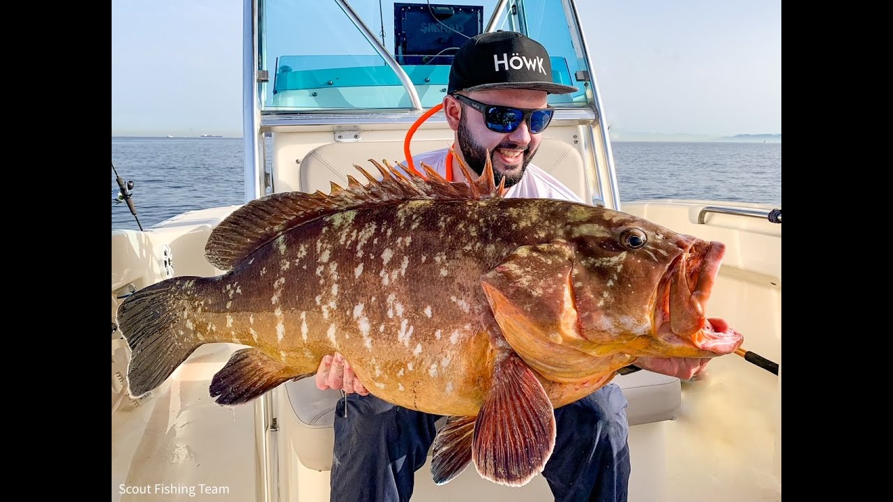 Howk Hot Spot 250 / Grouper 22 kg