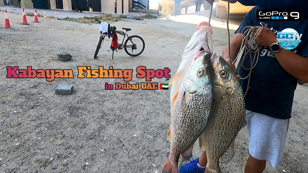 Kabayan Fishing Spot | Dubai UAE 2023 | Light Fishing | VID-64 | 04-21-23
