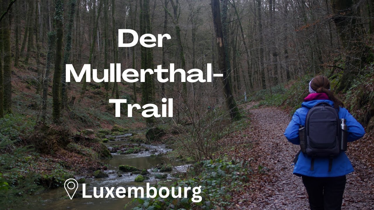 Wandern auf dem Mullerthal Trail/ Wandern in Luxembourg