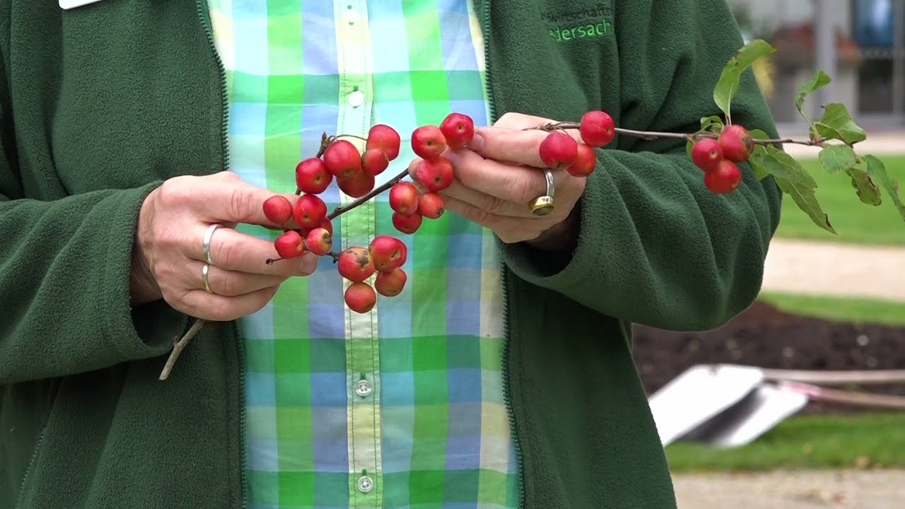 Gartentipp aus dem Park der Gärten | Oktober 2021