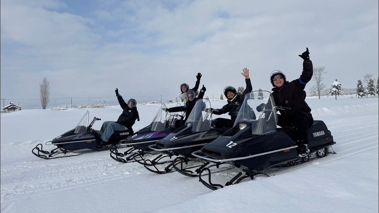 hokkaido diaries 🌲⛄️🛷 white christmas, animal shenanigans, soup curry