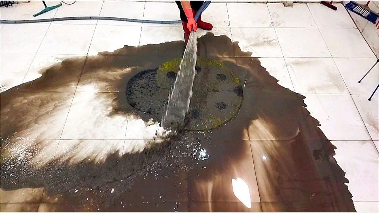 The cuttest and harddest dirty carpet cleaning satisfying ASMR
