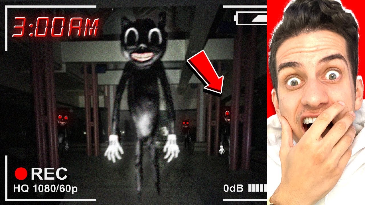 МУЛЬТФИЛЬМОВЫЙ КОТ в реальной жизни!