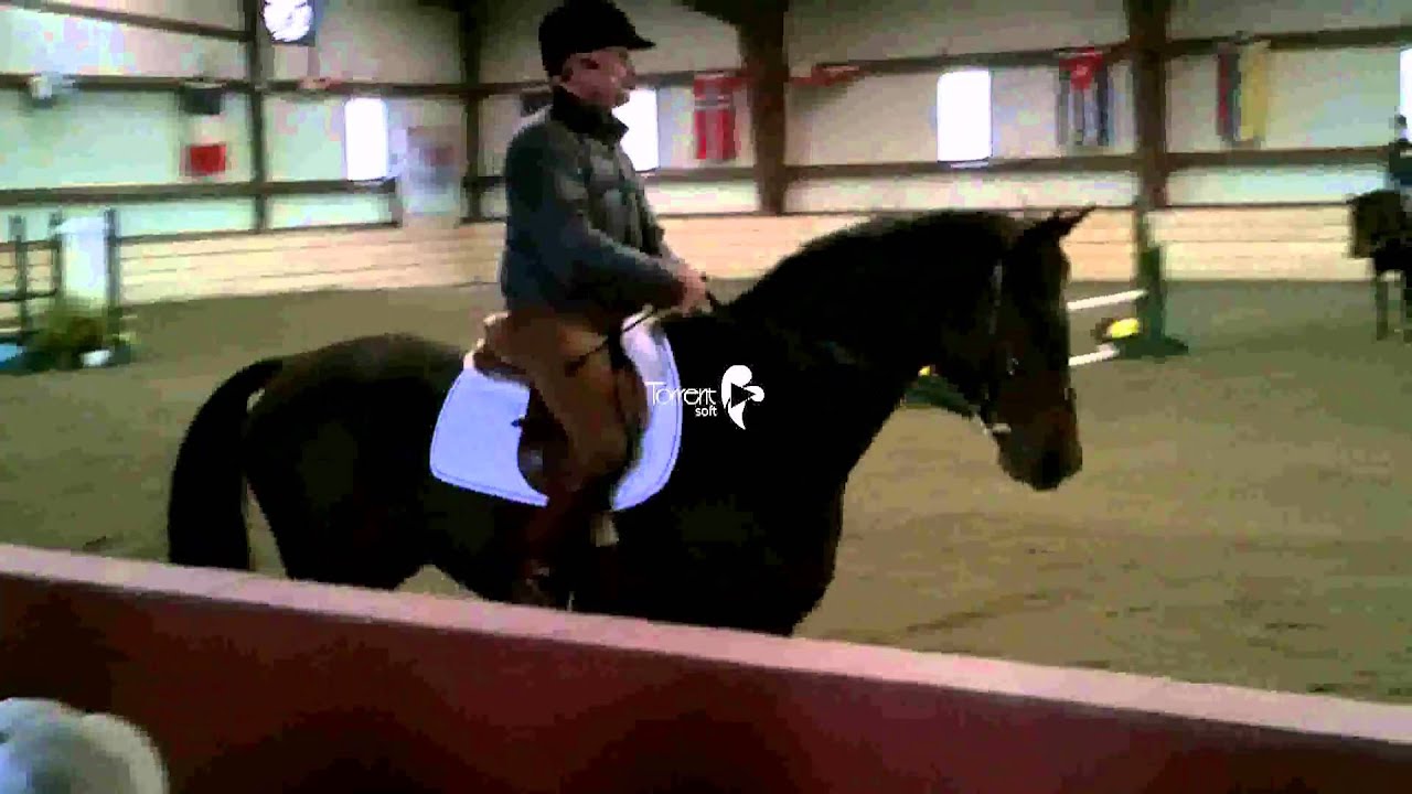George Morris - Oct. 2010 - Day 1 - Video 2 (GM Rides)