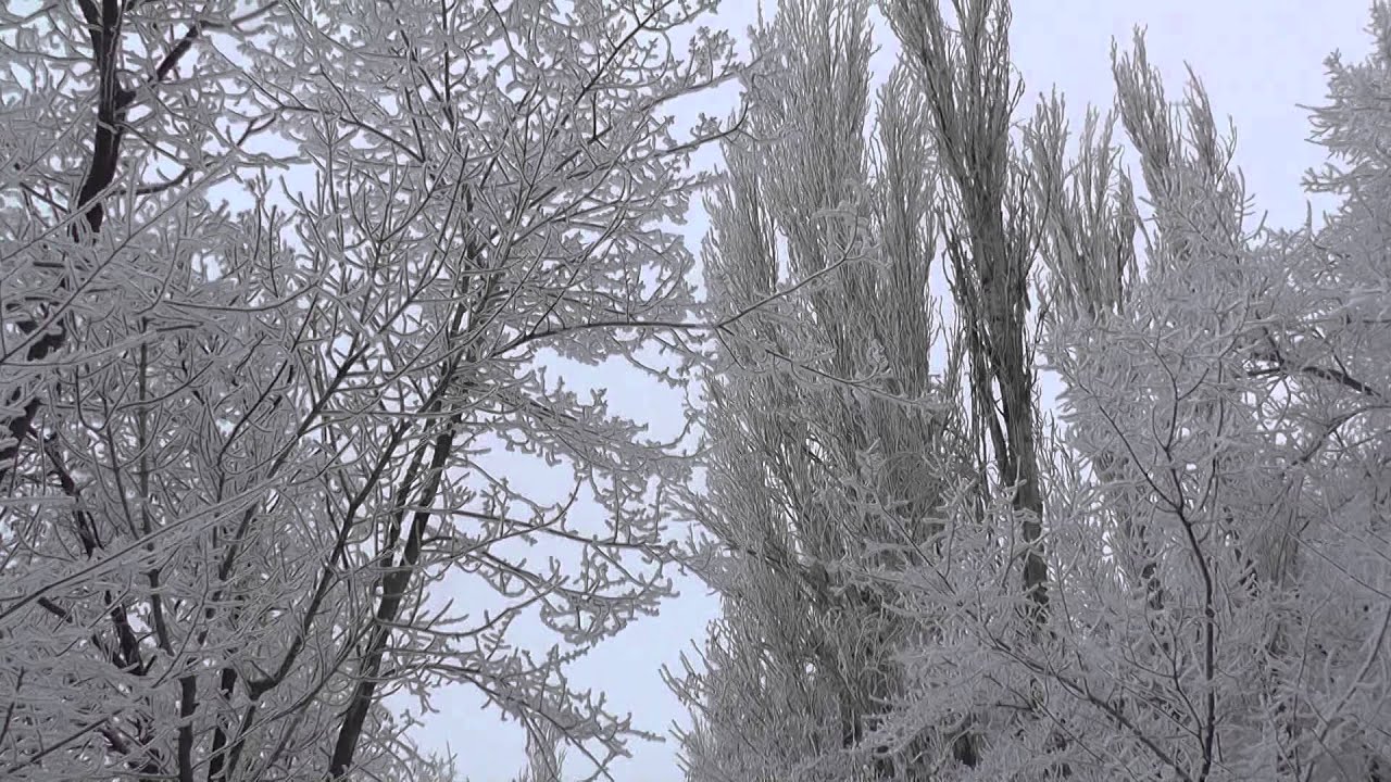 Элегия. Elegy