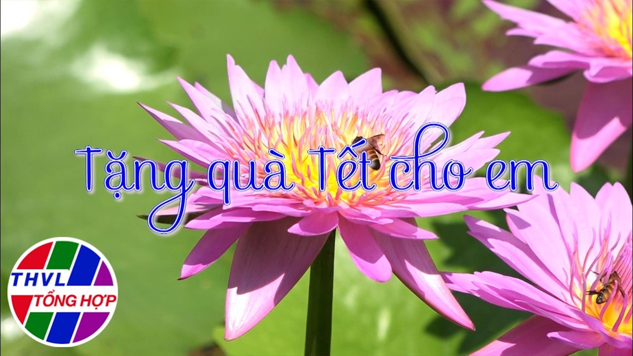 Hoa đẹp giữa đời thường: Tặng quà Tết cho em