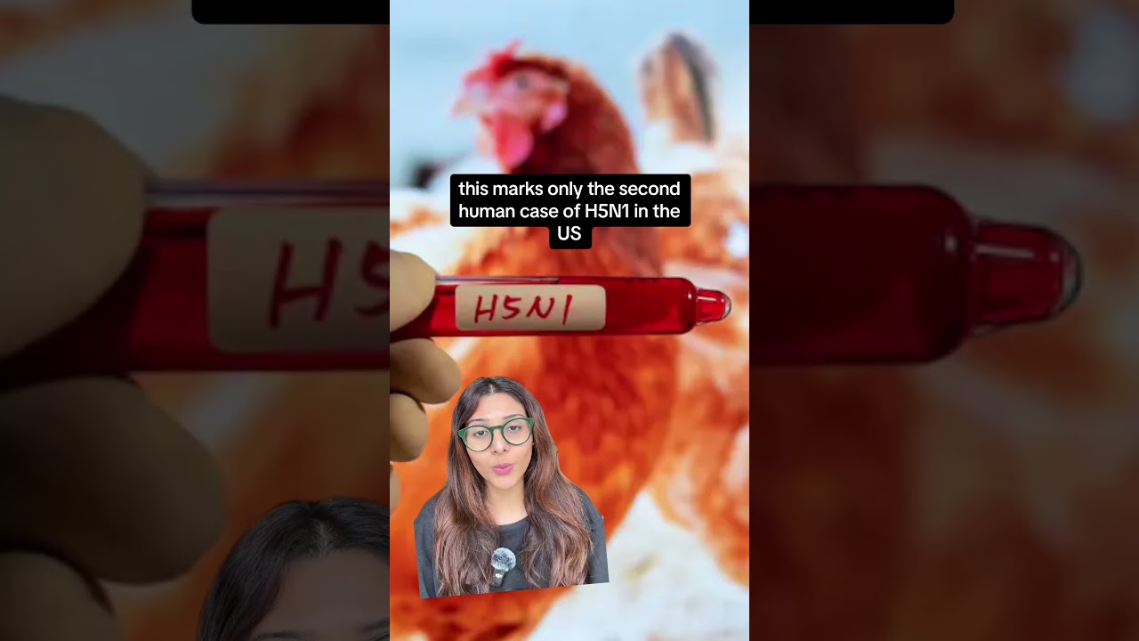 🦠BIRD FLU: An animal pandemic has started spreading to humans #h5n1 #globalhealth