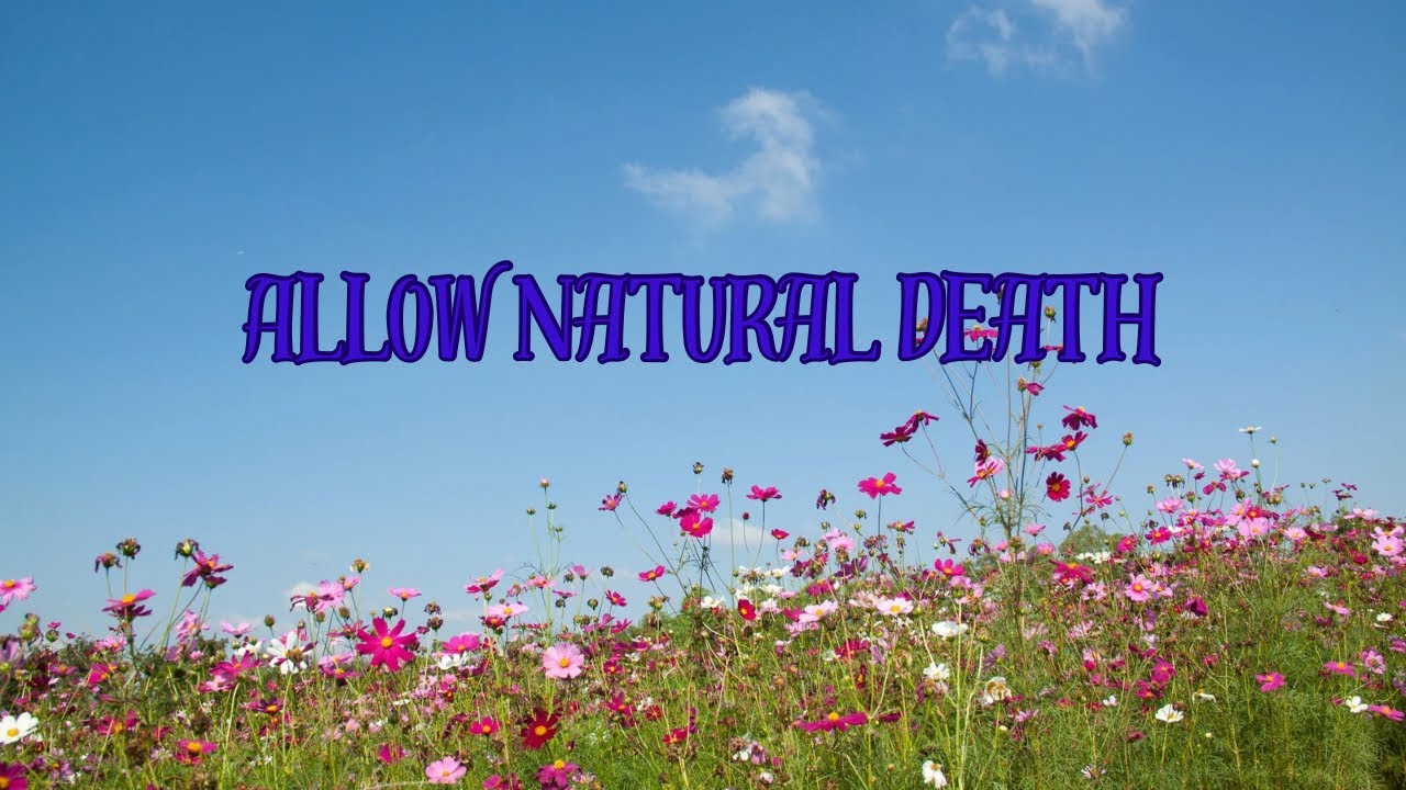 Choosing Hospice is Allowing Natural Death